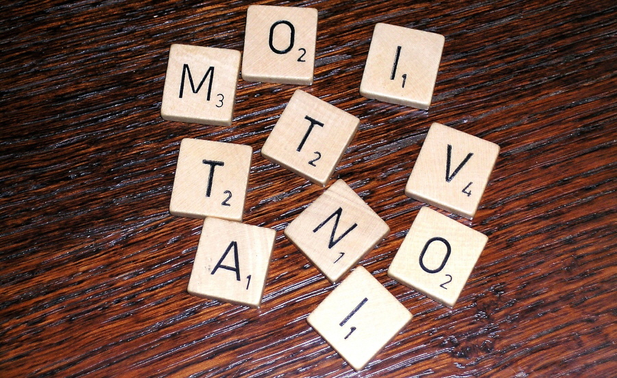 Motivation - Freude an der eigenen Arbeit